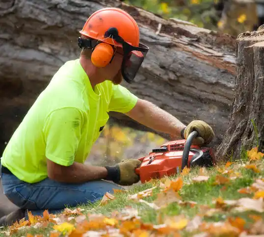 tree services Gonzales